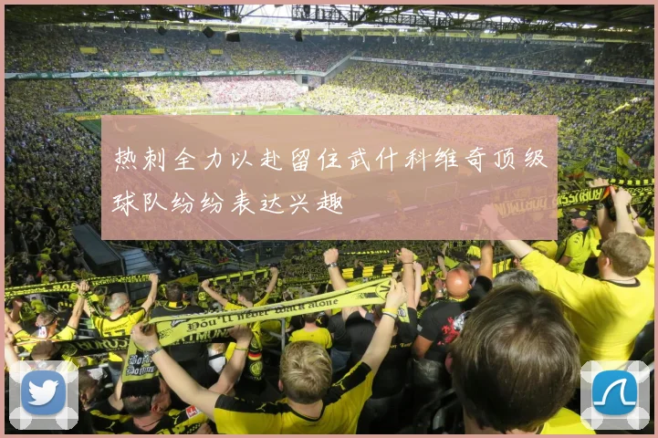 热刺全力以赴留住武什科维奇顶级球队纷纷表达兴趣