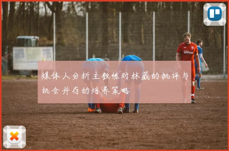 媒体人分析主教练对林葳的批评与机会并存的培养策略